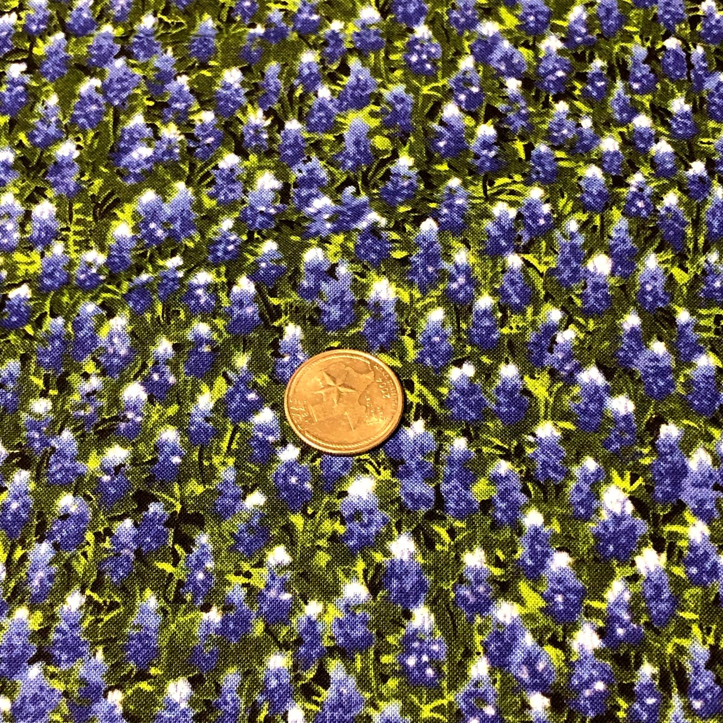 MODA Wildflower Basic Texas Bluebonnets 100% cotton fabric by the YARD 32366 11 - free ship to USA