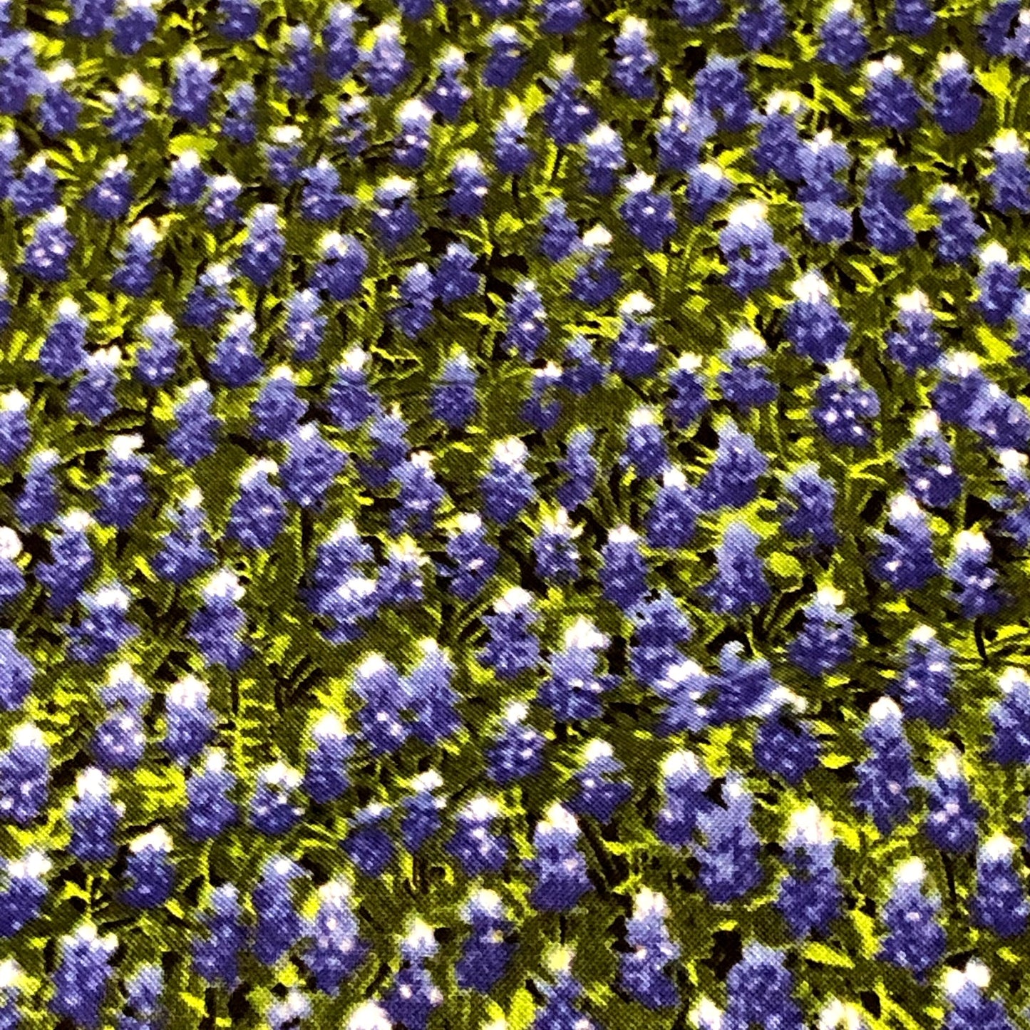 MODA Wildflower Basic Texas Bluebonnets 100% cotton fabric by the YARD 32366 11 - free ship to USA