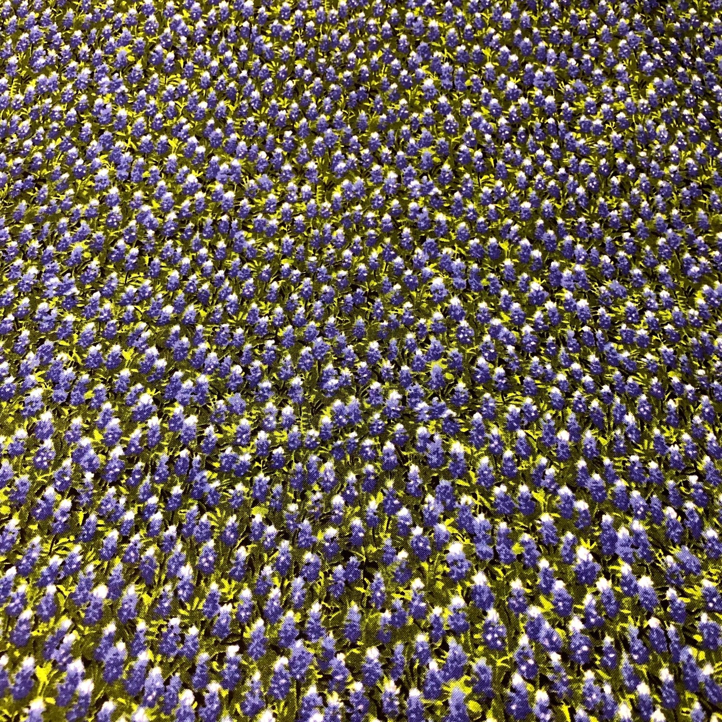 MODA Wildflower Basic Texas Bluebonnets 100% cotton fabric by the YARD 32366 11 - free ship to USA