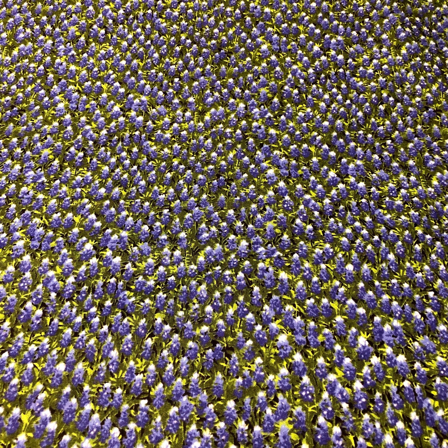 MODA Wildflower Basic Texas Bluebonnets 100% cotton fabric by the YARD 32366 11 - free ship to USA