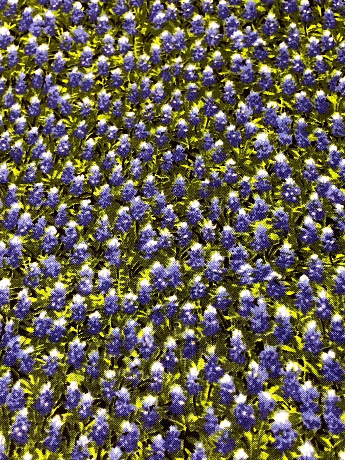 MODA Wildflower Basic Texas Bluebonnets 100% cotton fabric by the YARD 32366 11 - free ship to USA