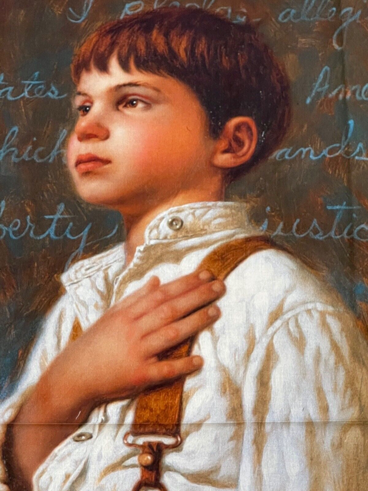 For Which It Stands 100% cotton fabric panel aprox 36 x 44 Pledge of Allegiance - free ship to USA