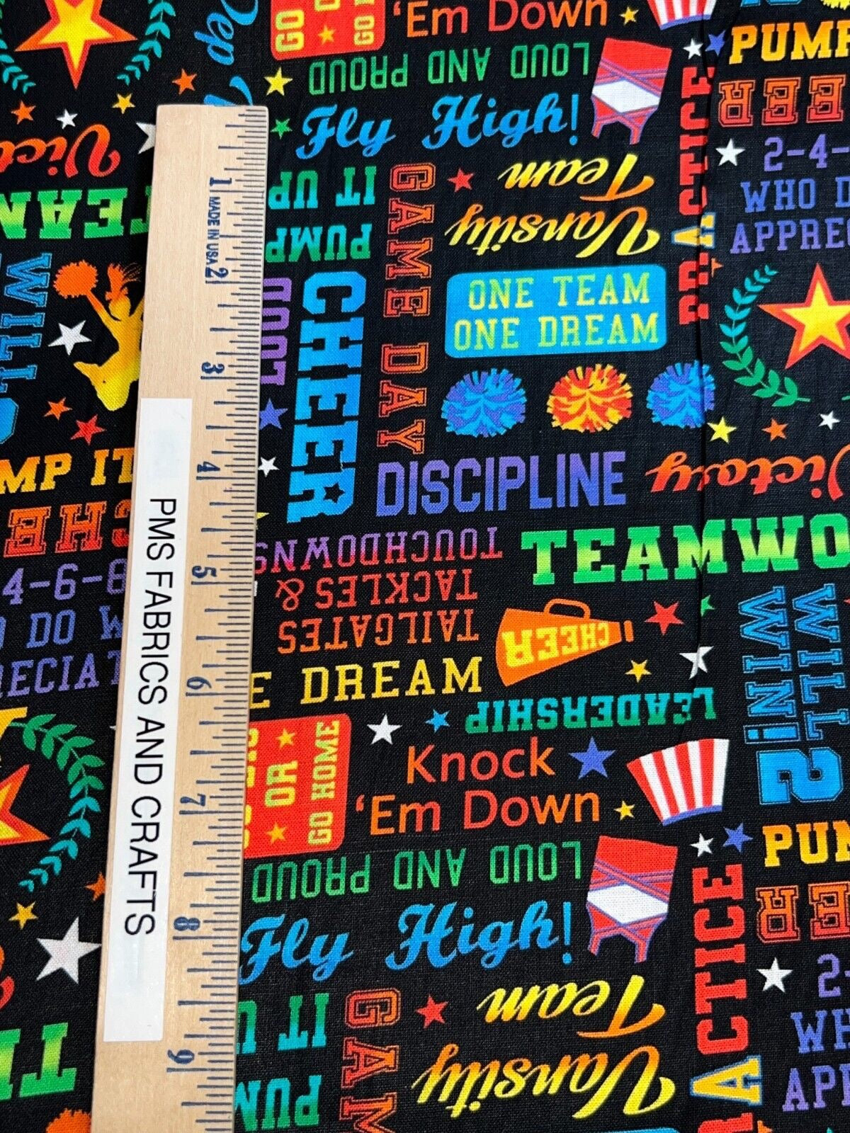 Cheerleader Words Text on Black: Cheer Squad by the yard 36x44 Timeless Treasure - Cheerleading - Free ship to USA